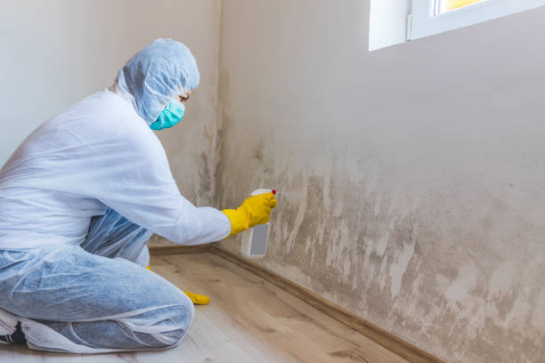 Mold inspector in Lewisville performing thermal imaging